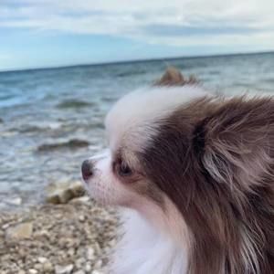 Meet your Posher, Marianne